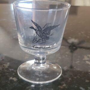 Clear Glass Footed Shot Glass with Duck Motif - CONNOR